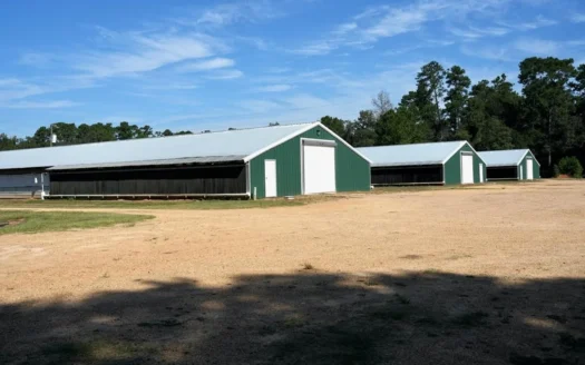 MS Poultry Broiler Farm with House and Tractor Equipment