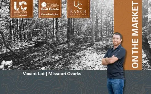 Vacant Lot in the Missouri Ozarks | Theodosia