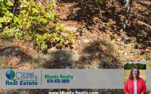 Acreage For Sale In The Foothills Of The Ozarks