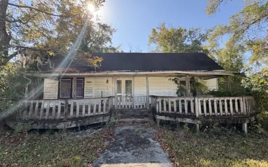 Calling All Investors: Bring Your Vision!