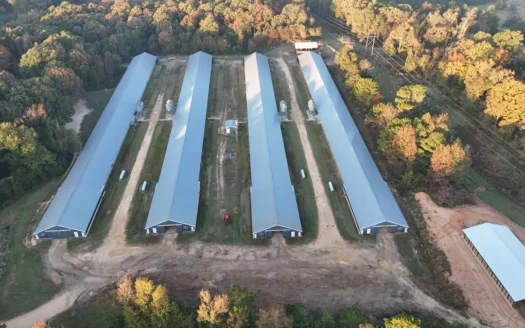 4 House Broiler Farm with Residence for Sale Downsville, LA