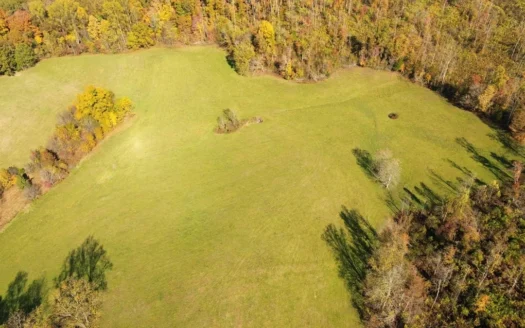 Hunting or Building Lot in Albany, Kentucky