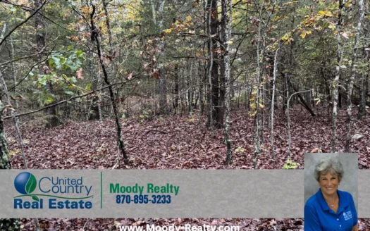 Ozarks Residential Lot With A View Of Pioneer Lake