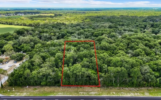 Prime Commercial Property On Us Hwy 19 In Chiefland, Florida