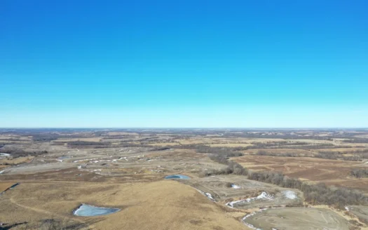 631-Acre Income-Producing Farm with CRP & Hunting – Near Albany