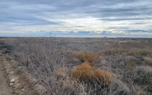 20 Acres in EH Subdivision – Reagan County, Texas