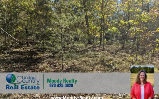 Secluded Wooded Acreage in the Ozarks Foothills