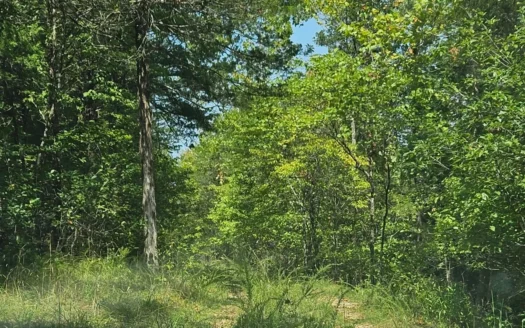 Build Your Dream Home Near Bull Shoals Lake & Golf Course