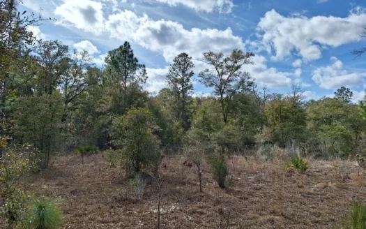 2.55 Acres Of Land Near Bronson In Levy County, Florida