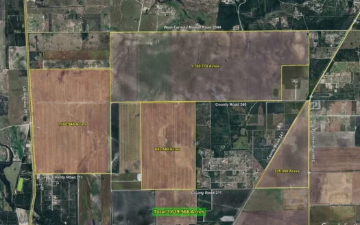 3800 Acres of Farmland in Jim Wells County, TX