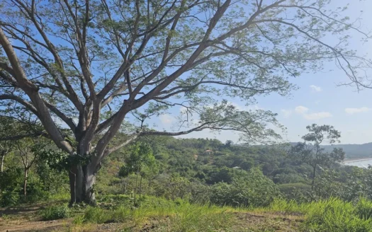 Los Balsos Residences in Playa Venao Lote #10