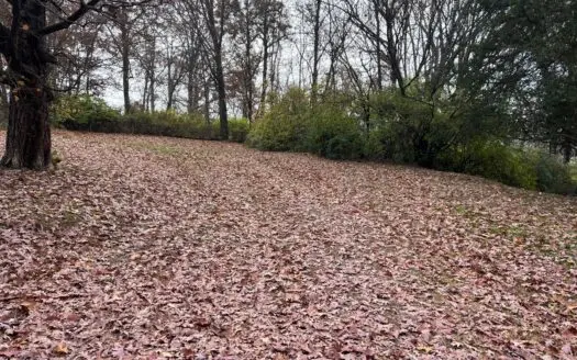 .74 Acre City Lot in Morristown, Tennessee