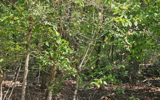 Build Your Dream Home Near Bull Shoals Lake & Golf Course