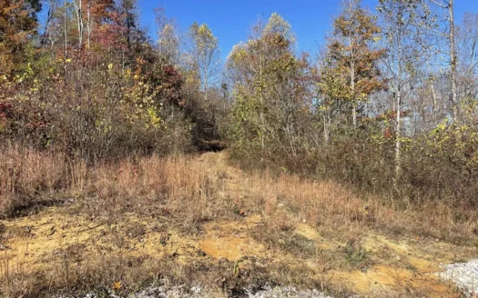 Unrestricted Lot in Albany, Kentucky