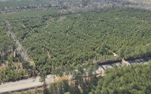 Timberland Property in Nevada County, AR