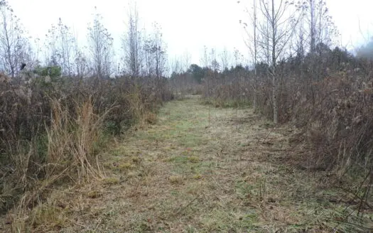 15 Acres of Land for Sale w/ MOUNTAIN VIEWS