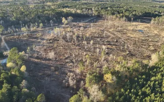 Homesite Potential Land for Sale – Calhoun County, AR