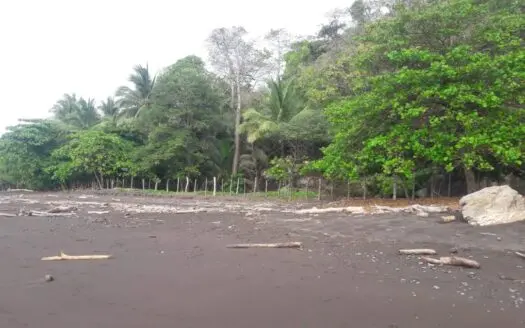 Beach Front Lot For Sale In Cambutal Panama