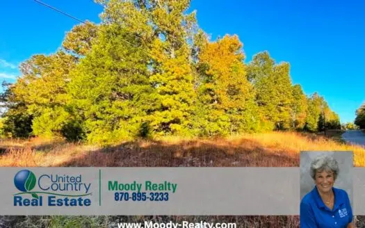 Arkansas Residential Lot Near Pioneer Lake