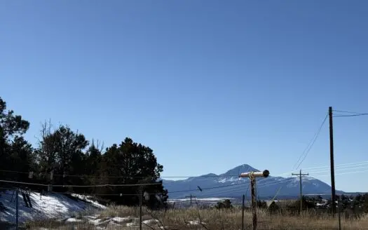 Affordable Country Home in Beautiful Dolores, Colorado