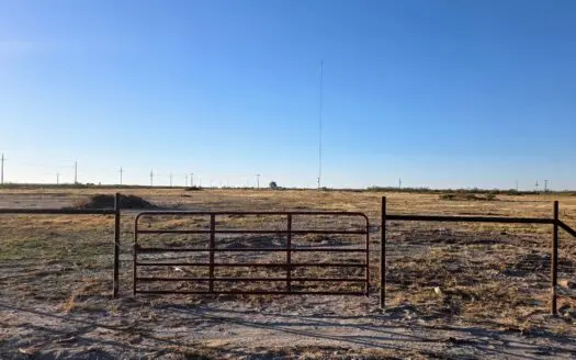 20 Acres in EH Subdivision – Reagan County, Texas