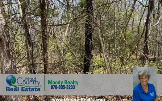 Level Lot In A Quiet Location In Horseshoe Bend Arkansas