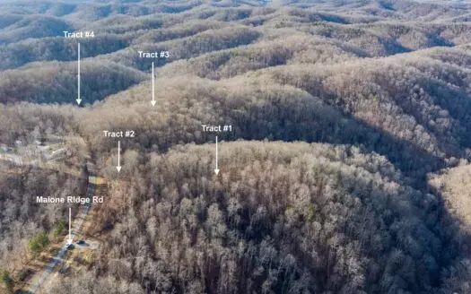 Online Only Auction – 288+/- Acres In 16 Tracts