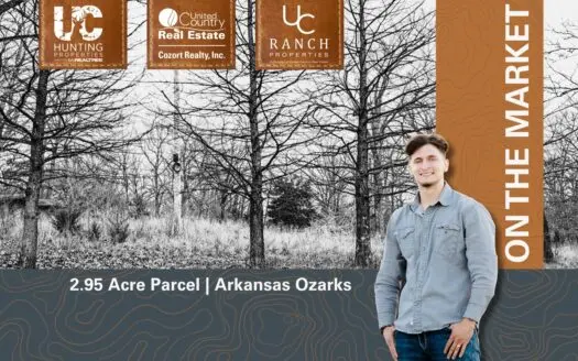 2.95 Acre Corner Lot for sale in Williford | Arkansas Ozarks