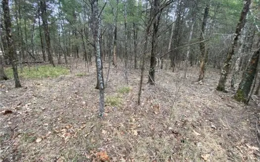 3 Building Lots/Land Bull Shoals Lake, Diamond City For Sale