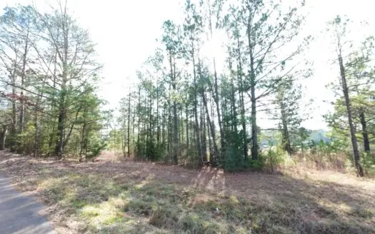 Flexible Small Lot in North East Texas.