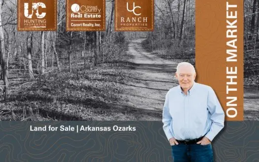 Arkansas Ozarks | Acreage for sale