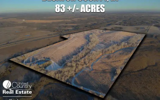 Decatur County Hunting & Invesment Land