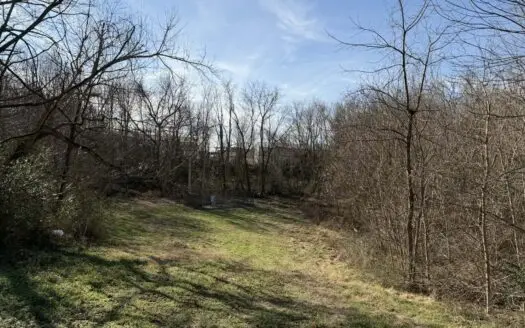 Property #1 Lot #2: Land on Shelley St