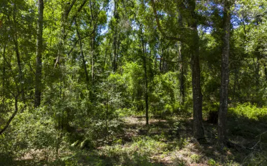 4.09 Acres for Sale in Suwannee County, Florida