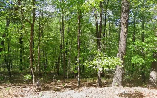 Lot Available in Cunningham Subdivision In Bella Vista, AR