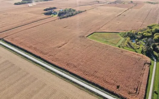 Agricultural Investment Opportunity For Sale in Hayfield, MN