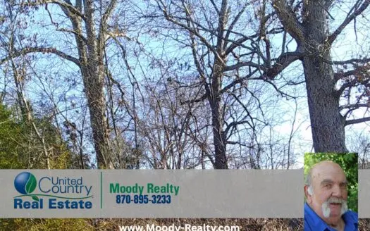 Subdivision Lot In Hardy Arkansas