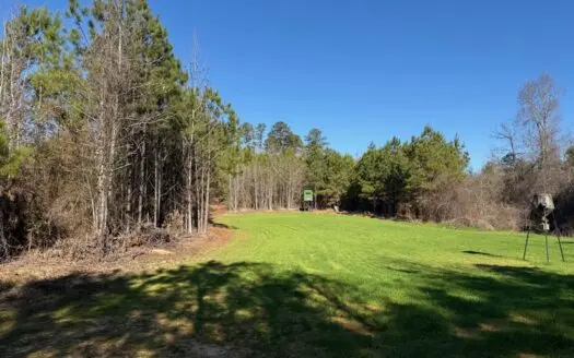 183 Acres for Sale in Moundville, Alabama