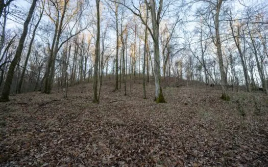 Hunting Land for Sale in Jefferson County, MS – 428 Acres