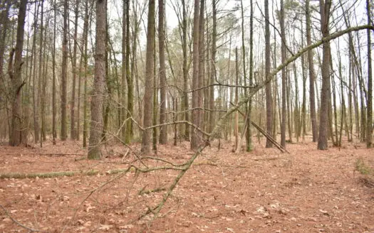 3.48 Acres near Lake Greeson, the River and Murfreesbore, AR