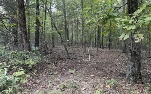 20 Acres Land For Sale Near Lake & Hunting, Lead Hill, Ar