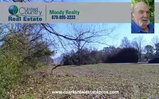 Four Lots For Sale In Blytheville Arkansas