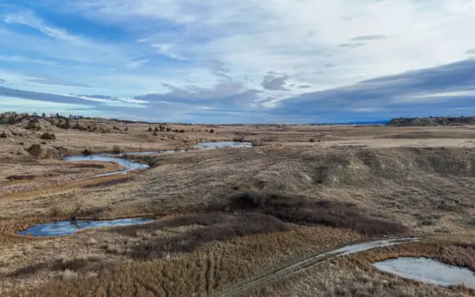 Montana Cattle & Recreational Ranch