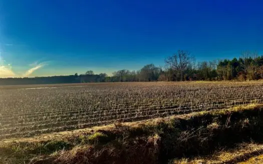 Row Crop Farm in Hot Spring County AR