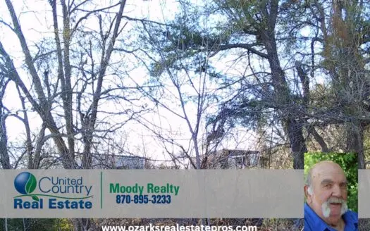 High Visibility Lot On Hwy 61 In Blytheville Arkansas