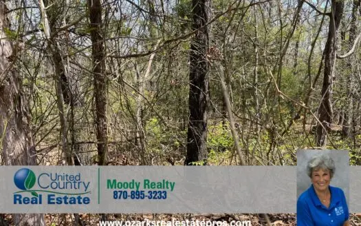 Level Lot In A Quiet Location In Horseshoe Bend Arkansas