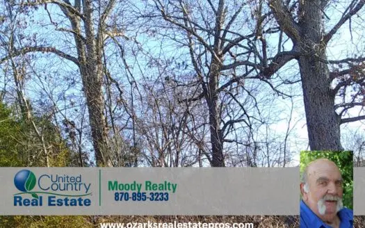 Subdivision Lot In Hardy Arkansas