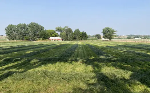 Prime 1.5-Acre Custom Homesite For Sale in Montrose, Colorado