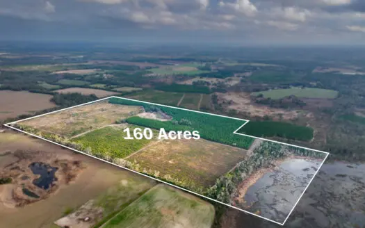 160 Acres Madison FL | Sustainable Timber Income & Trophy Hunting