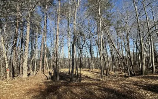 Building Lot Available at Spring Creek Airpark!